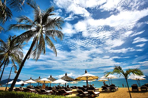 A vacation scene with palm trees and chairs